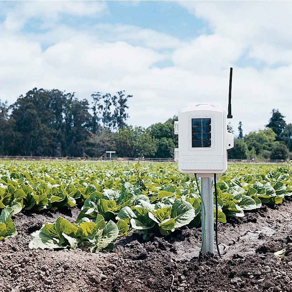 Davis Complete Wireless Soil Moisture/Temperature Station - DI-6345CSOV