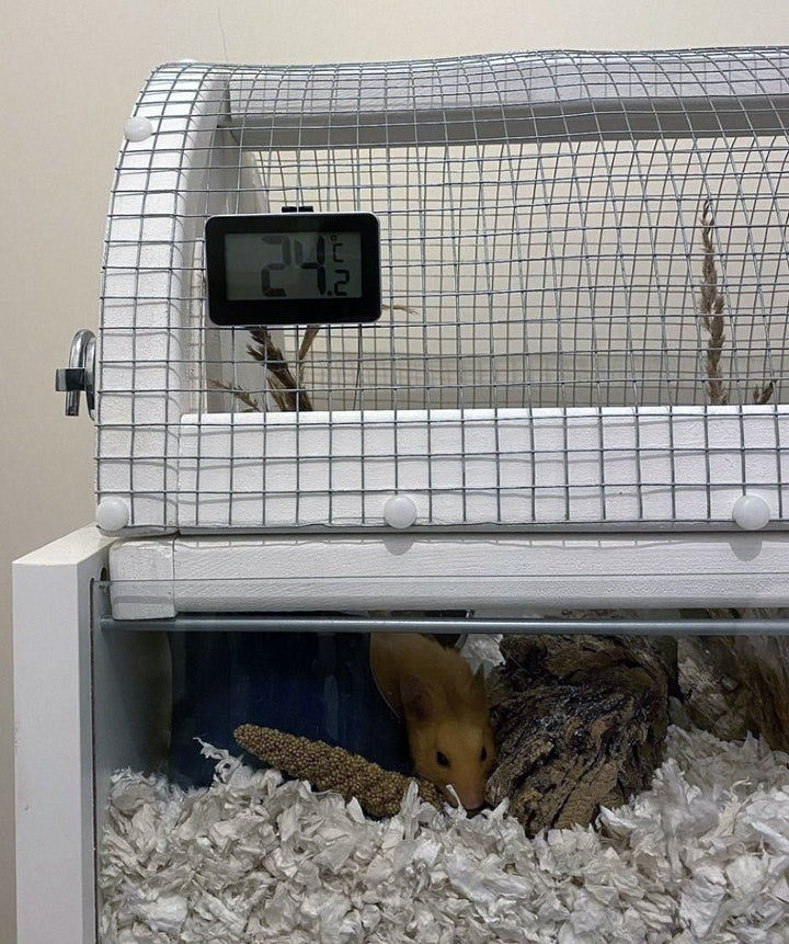 Hamster Cage Digital Thermometer 30.2028.01 - TD-30-2028-01-PCH