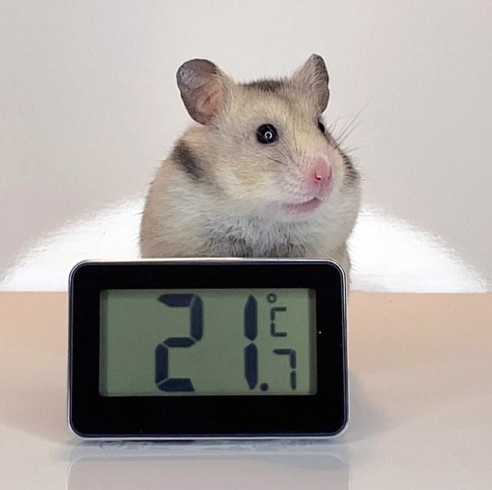 Hamster Cage Digital Thermometer 30.2028.01 - TD-30-2028-01-PCH