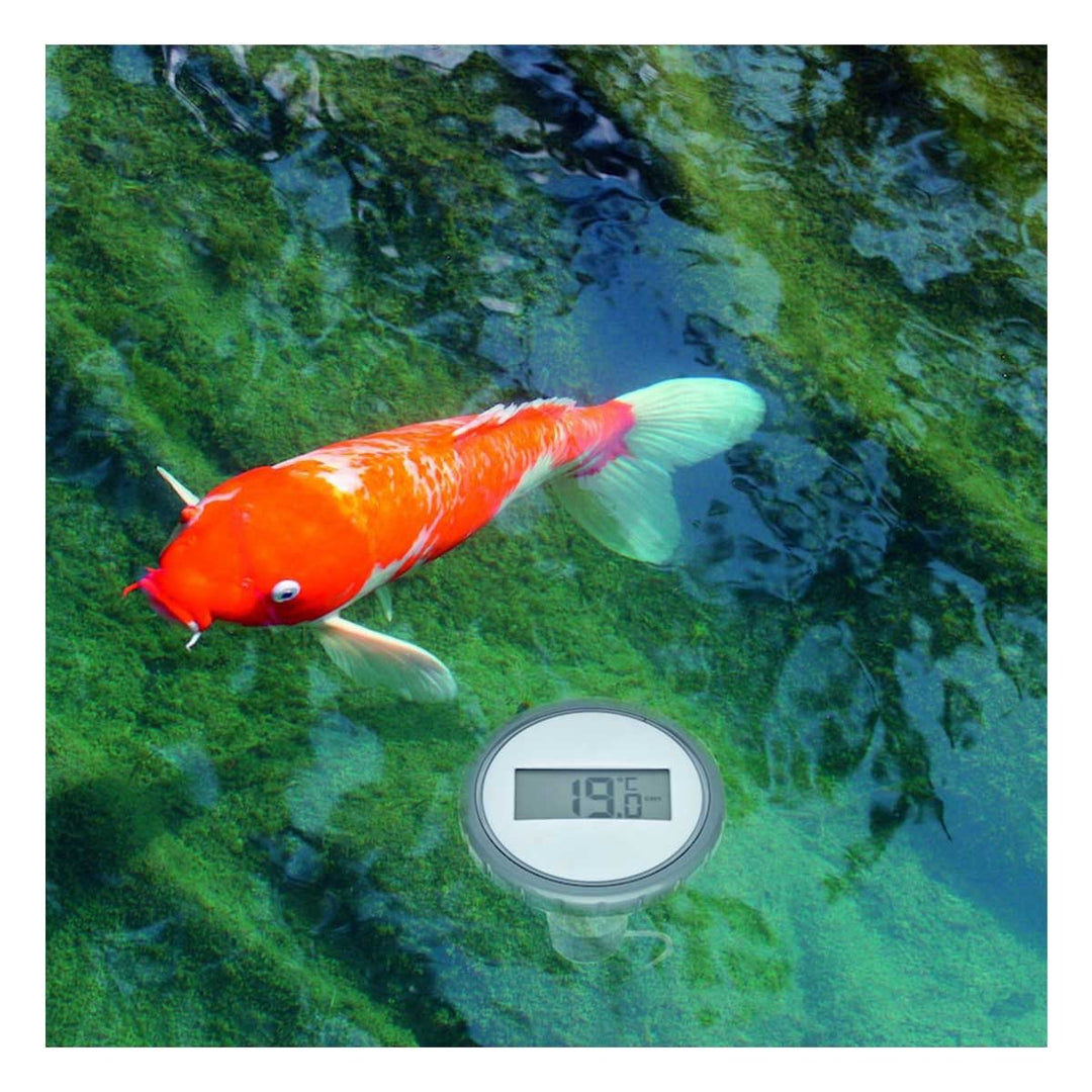 TFA PALMA Wireless Pool/Pond Thermometer 30.3067 - TD-30-3067